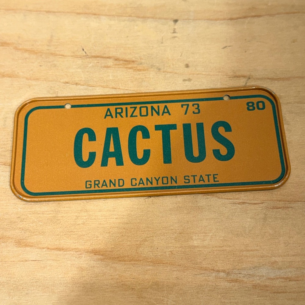 Mini License Plate Novelty Orange‎ Arizona Cactus Grand Canyon State 1980s VTG